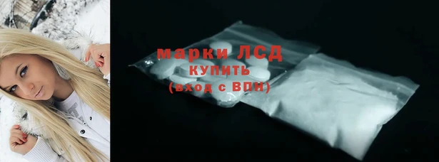 стафф Алзамай