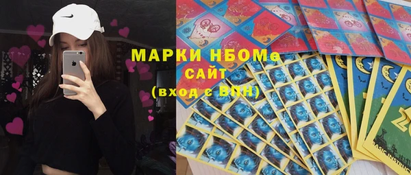 мет Алексин