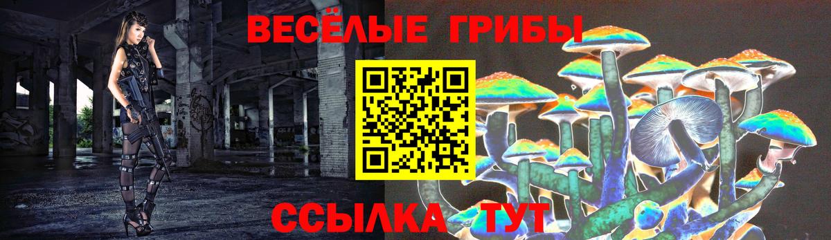 Галлюциногенные грибы ЛСД Алексеевка