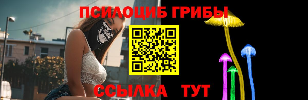 Алексеевка  Псилоцибиновые грибы MAGIC MUSHROOMS  Вход с VPN 
